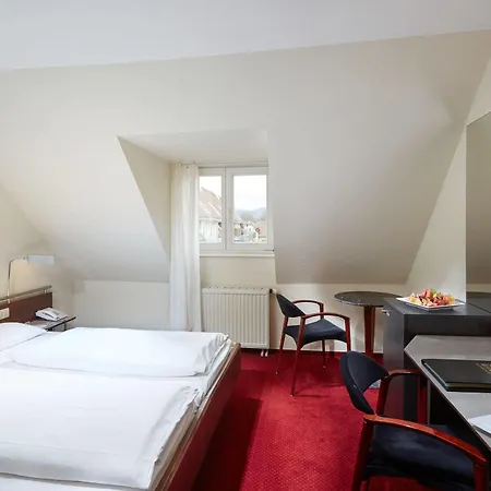 Schloss Reinach Hotel 4*