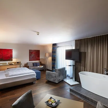 Schloss Reinach 4*