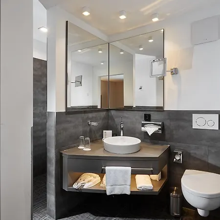 Schloss Reinach Hotel 4*
